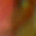 Bokeh-335